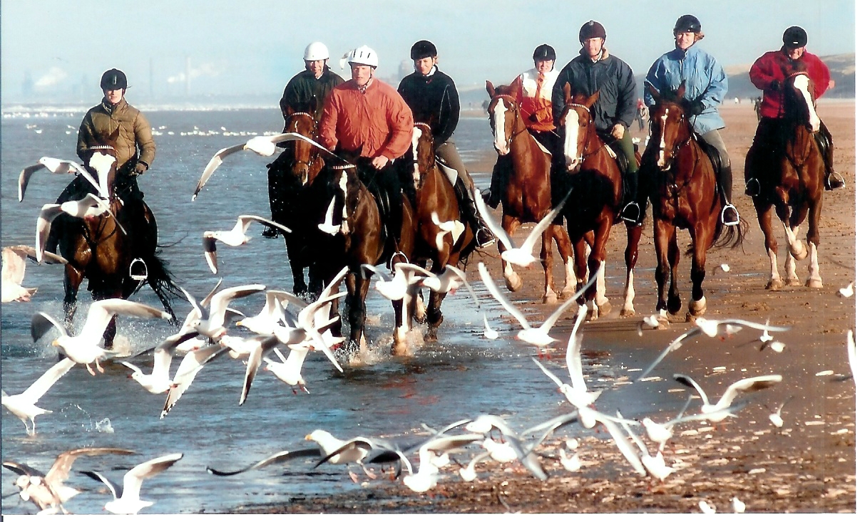 paardenenstrand